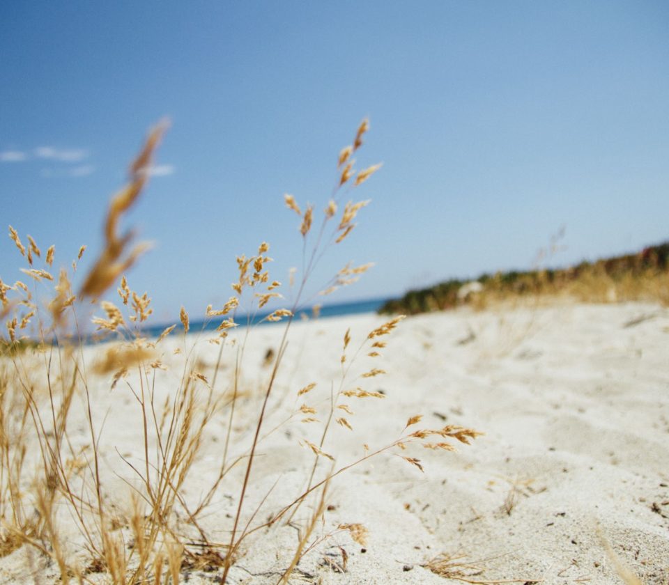 plage-sauvage-corse